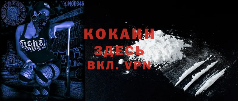 darknet как зайти  Санкт-Петербург  Cocaine Эквадор 